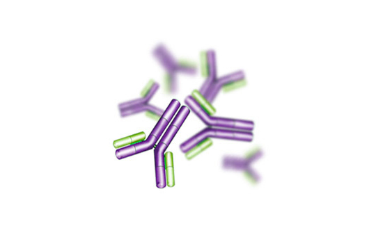 小鼠抗人IgG-Mouse Anti-human IgG antibody