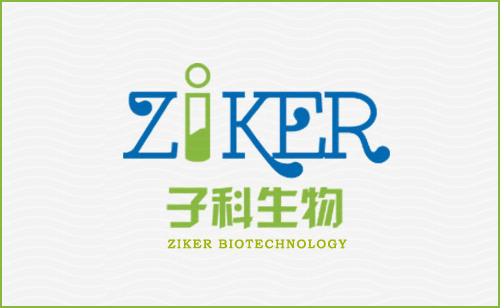 抗壞血酸過氧化物酶（APX）測試盒（紫外分光光度法）