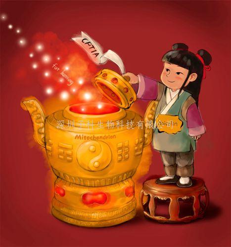 北大學(xué)者PNAS發(fā)現(xiàn)黃芩為何能治療肥胖，脂肪肝等疾病的奧秘