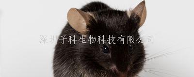 Nature重要成果：兩步技術實現(xiàn)視覺細胞重編程