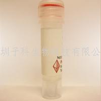 PeproTech重組人IGF Binding Protein-3/100-08