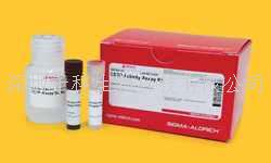 K-LISA IKKbeta Inhibitor Screening Kit，貨號：CBA044-1KIT