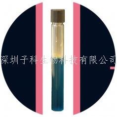 科馬嘉 快速檢測(cè)沙門氏菌液體培養(yǎng)基