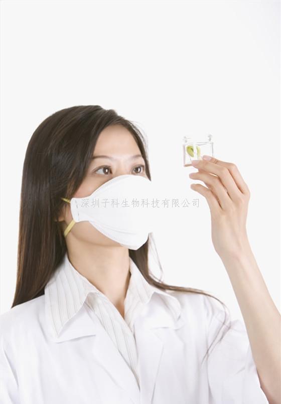 PRPF19 通過介導(dǎo)蛋白酶體降解維生素 D 受體（VDR）加重糖尿病腎病中鐵死亡及小檗堿（BBR）的保護(hù)作用機制研究