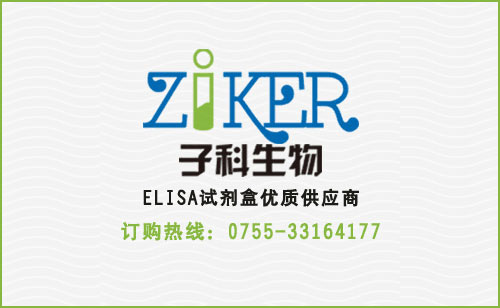 血管內(nèi)皮抑素抗體（ES-Ab）ELISA檢測(cè)試劑盒