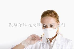 生物工程的革命：細菌助力DNA-蛋白質雜交分子的大規(guī)模合成