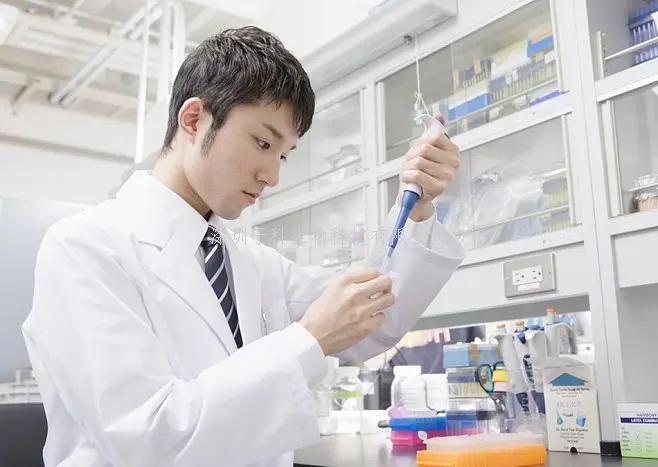 《自然心血管研究》：斑馬魚(yú)的蛋白質(zhì)解鎖了心臟修復(fù)的休眠基因